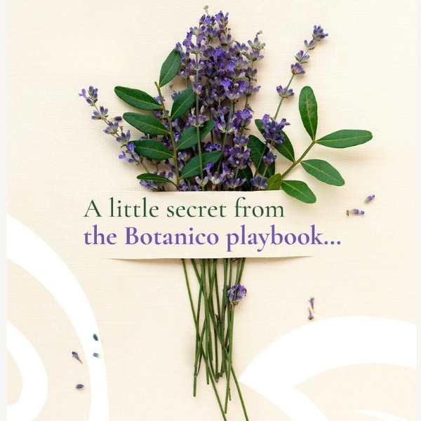 Lavender sprigs with text: A little secret from the Botanico playbook